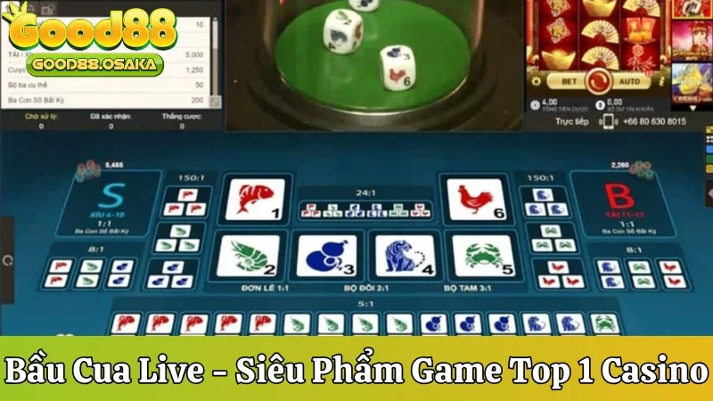 Bầu Cua live