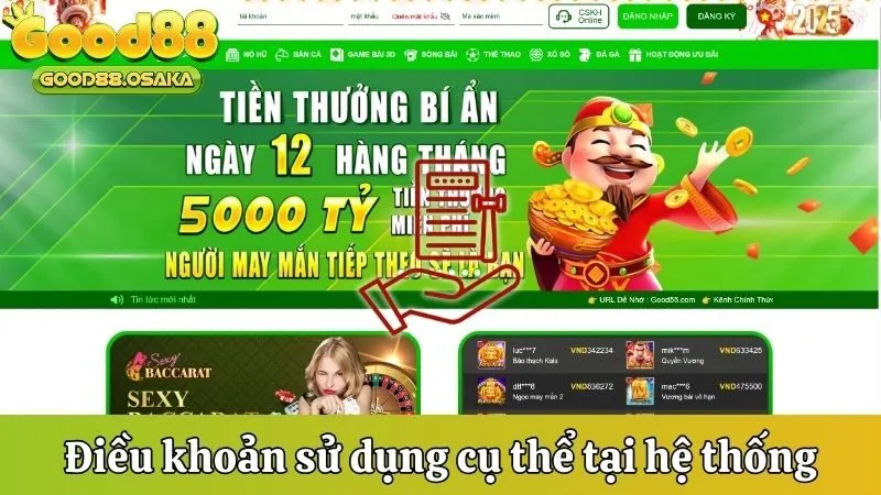Điều khoản sử dụng cụ thể tại hệ thống