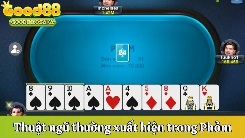 Thuật ngữ thường xuất hiện trong Phỏm