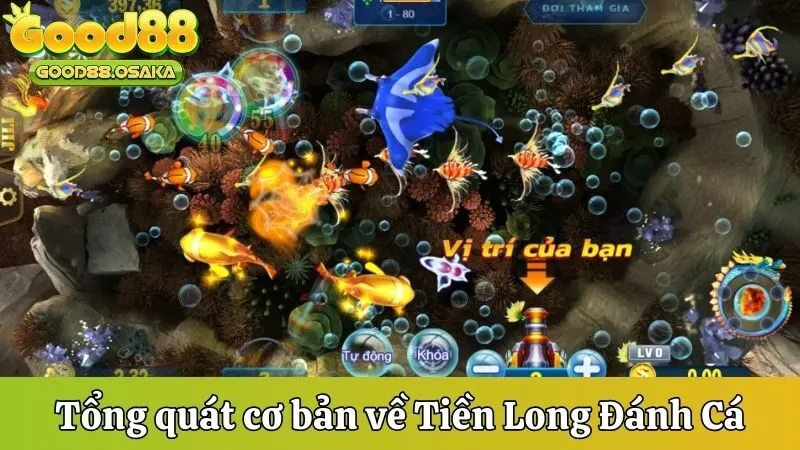 Tổng quát cơ bản về Tiền Long đánh cá