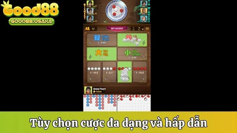 Tùy chọn cược đa dạng và hấp dẫn